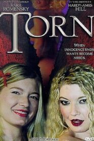 Summer Desire 2001 one on netflix