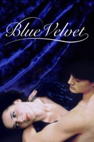 Blue Velvet 1986 one on netflix