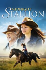 Midnight Stallion 2013 one on netflix