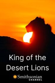 King of the Desert Lions 2018 one on netflix