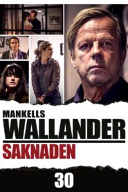 Wallander: The Loss 2013 one on netflix