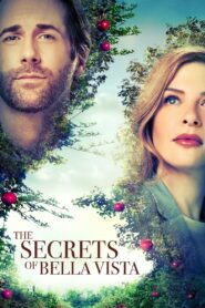 The Secrets of Bella Vista 2022 one on netflix