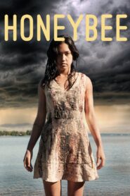 HoneyBee 2016 one on netflix