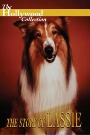 The Story of Lassie 1994 one on netflix