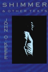 Shimmer 1993 one on netflix