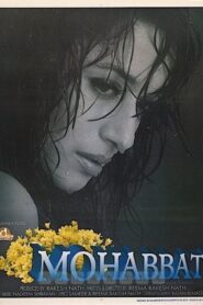 Mohabbat 1997 one on netflix