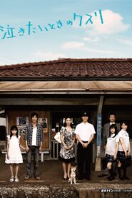 Nakitai toki no kusuri 2009 one on netflix