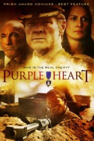 Purple Heart 2005 one on netflix