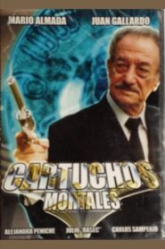 Cartuchos mortales 2004 one on netflix