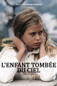 L’Enfant tombée du ciel 1995 one on netflix