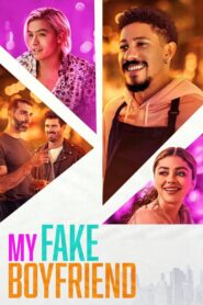 My Fake Boyfriend 2022 one on netflix