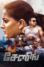Chasing 2021 one on netflix
