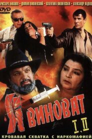 It’s My Fault 1993 one on netflix