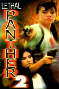 Lethal Panther 2 1993 one on netflix