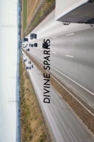Divine Sparks 2020 one on netflix