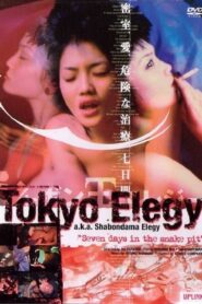 Tokyo Elegy 1999 one on netflix