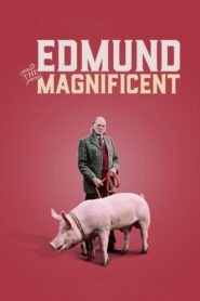 Edmund the Magnificent 2017 one on netflix