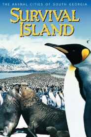 Survival Island 1996 one on netflix