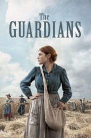 The Guardians 2017 one on netflix