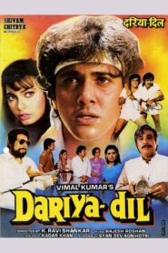 Dariya Dil 1988 one on netflix