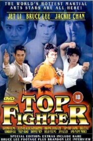 Top Fighter 1995 one on netflix