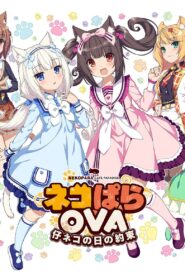 Nekopara OVA Extra 2018 one on netflix