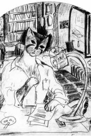 A Cat and a Half 2003 one on netflix