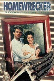 Homewrecker 1992 one on netflix