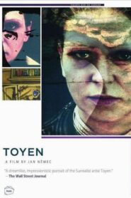 Toyen 2005 one on netflix