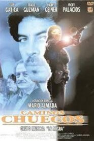 Caminos chuecos 1999 one on netflix