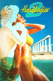 Hardbodies 2 1986 one on netflix