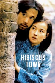 Hibiscus Town 1987 one on netflix