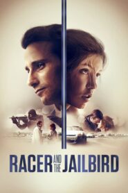 Racer and the Jailbird 2017 one on netflix