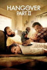 The Hangover Part II 2011 one on netflix