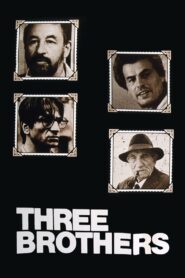 Three Brothers 1981 one on netflix
