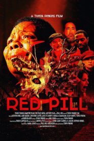 Red Pill 2021 one on netflix