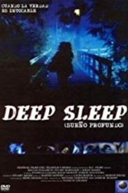Deep Sleep 1990 one on netflix