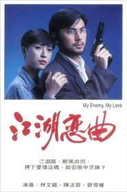 江湖恋曲 1995 one on netflix