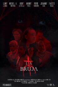 The Witch 2021 one on netflix