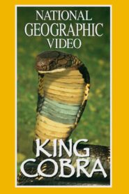 King Cobra 1997 one on netflix
