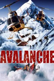 Avalanche 2004 one on netflix