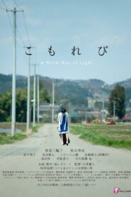 A Warm Ray of Light 2011 one on netflix