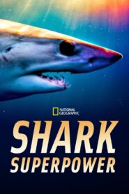 Shark Superpower 2022 one on netflix