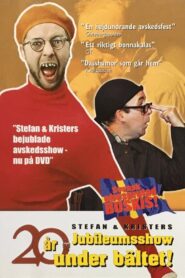 20 år under bältet 2001 one on netflix