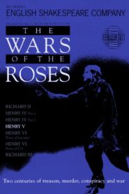 Henry V 1991 one on netflix