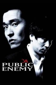 Public Enemy 2002 one on netflix