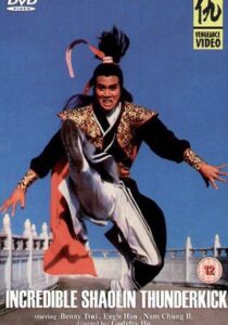 Incredible Shaolin Thunderkick 1982 one on netflix