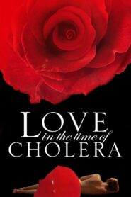 Love in the Time of Cholera 2007 one on netflix
