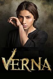 Verna 2017 one on netflix