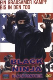 Ninja Death Squad 1987 one on netflix
